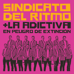 Artwork. Sindicato Del Ritmo. En Peligro De Extincion.