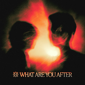 Artwork. Fat Cat. What Are Your After.